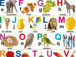 Alphabet Stock Price: What's Driving the Dip vs. NVDA?